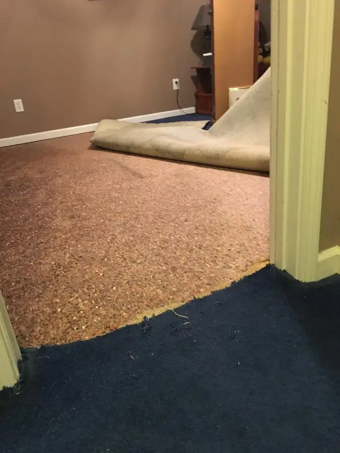 Carpet pad removal revealing water damage during Water Mitigation Services in Hallsville
