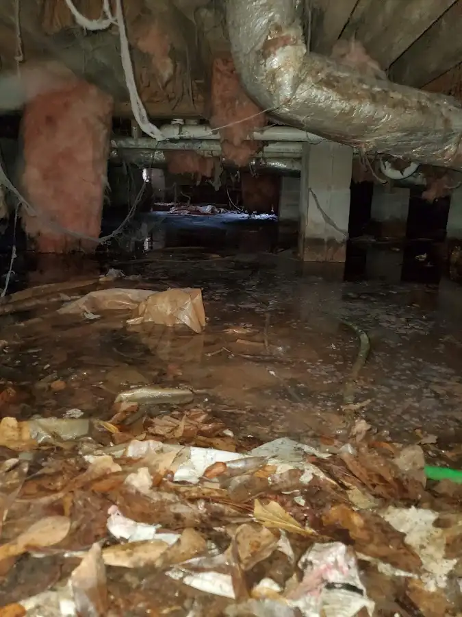 Crawl space flood assessment for Commercial Water Damage Restoration in Hallsville