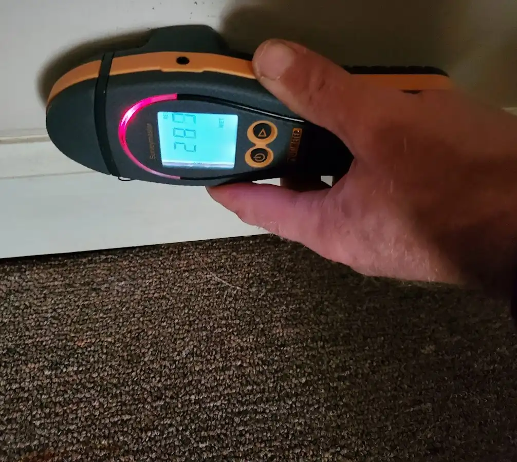 Moisture detection at baseboard during Mold Inspection & Testing in Hallsville