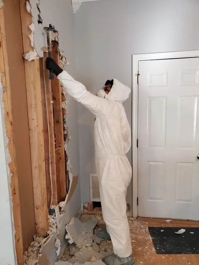 Water Damage Restoration services in Hallsville, TX